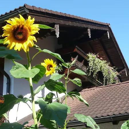Gouiaa Apartamento